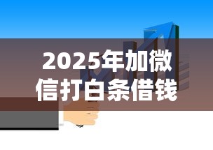 2025年加微信打白条借钱，推荐5个504家违规网贷平台名单