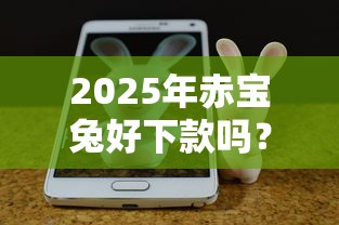 2025年赤宝兔好下款吗？分享5个手机分期贷款平台