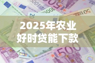 2025年农业好时贷能下款吗？罗列5个大额度贷款平台