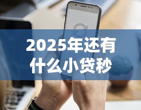 2025年还有什么小贷秒批的？整合5个黑户100%能下款的平台
