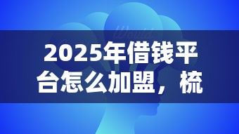 2025年借钱平台怎么加盟，梳理5个私人网贷平台