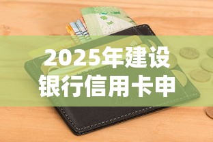 2025年建设银行信用卡申请不通过？看看这5个低门槛不查征信的口子