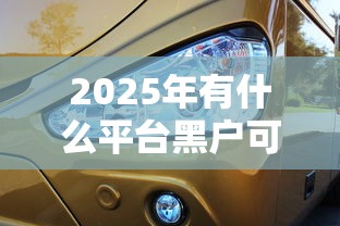 2025年有什么平台黑户可以下贷款：推荐5个找贷款平台