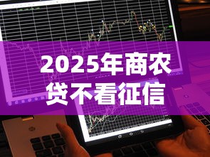 2025年商农贷不看征信6，看看这5个可以不看征信就能下款的平台