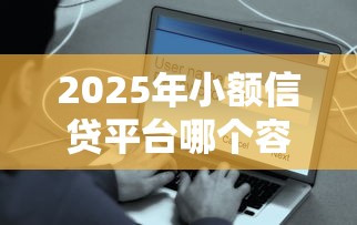 2025年小额信贷平台哪个容易借又安全，分享五个个人借钱平台