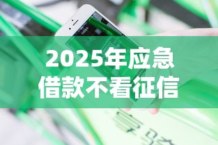 2025年应急借款不看征信可以吗，分享5个微信里可以借钱的平台
