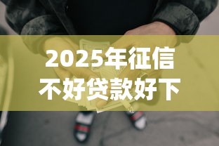 2025年征信不好贷款好下款？整合5个p2p平台贷款