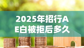 2025年招行AE白被拒后多久重新申请：分享5个贷款平台代理