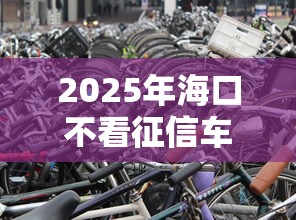 2025年海口不看征信车抵押？试试这5个不看负债不看征信可以下款的平台