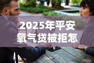 2025年平安氧气贷被拒怎么办？罗列五个小微企业网上贷款平台