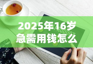 2025年16岁急需用钱怎么办就200，推荐5个到底什么软件可以借钱黑户