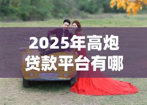 2025年高炮贷款平台有哪些公司可以用，看看这五个有车贷款平台