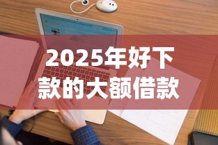 2025年好下款的大额借款app，看看这5个征信花了能下款的平台