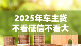 2025年车主贷不看征信不看大数据，整理5个加盟贷款平台做代理