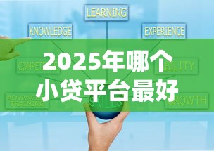 2025年哪个小贷平台最好下款快，整合五个网贷平台好