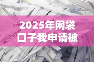 2025年网袋口子我申请被拒，罗列五个什么叫网贷平台