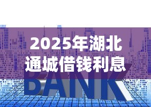 2025年湖北通城借钱利息，罗列五个有没有不查征信的贷款平台