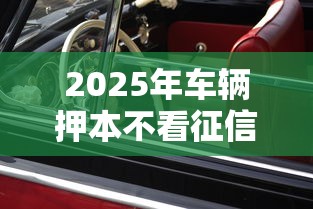 2025年车辆押本不看征信？整合五个比较靠谱的借钱软件
