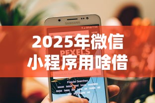 2025年微信小程序用啥借钱软件，梳理5个99贷款平台
