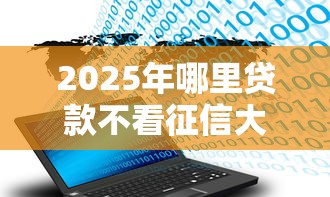 2025年哪里贷款不看征信大数据：罗列5个黑户也能贷的平台