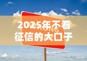 2025年不看征信的大口子：罗列5个口子网