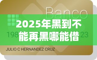 2025年黑到不能再黑哪能借钱？整合五个企业信用贷款平台