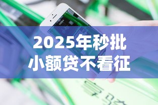 2025年秒批小额贷不看征信，分享五个2025黑花户借款平台