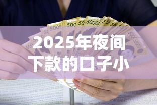 2025年夜间下款的口子小额？梳理5个平台贷款利率低