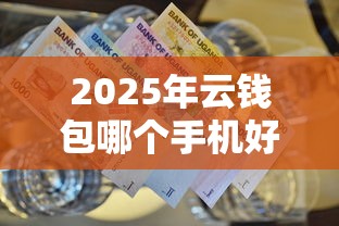 2025年云钱包哪个手机好下款啊：推荐5个二手车贷款平台好