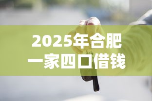 2025年合肥一家四口借钱买车，推荐5个额度高的贷款平台