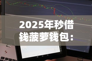 2025年秒借钱菠萝钱包：推荐5个借款平台夜间