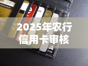 2025年农行信用卡审核不通过，罗列5个好过的贷款平台