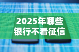 2025年哪些银行不看征信：推荐5个黑口子秒下款2025