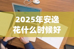2025年安逸花什么时候好下款，看看这五个网贷黑口子必下款app