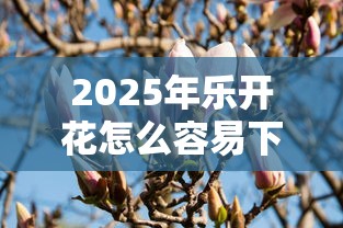 2025年乐开花怎么容易下款：罗列5个黑户口子