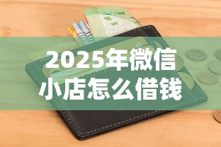 2025年微信小店怎么借钱到银行卡？分享五个征信花居然都下款的平台