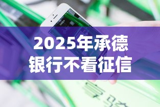 2025年承德银行不看征信吗？分享五个快速贷款平台