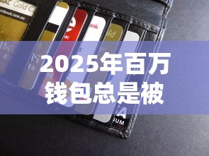 2025年百万钱包总是被拒，试试这五个哪些贷款平台是正规的
