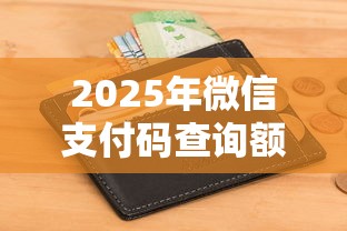 2025年微信支付码查询额度，梳理5个不回访不查征信好下款的口子