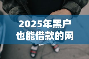 2025年黑户也能借款的网贷：罗列5个北京贷款平台