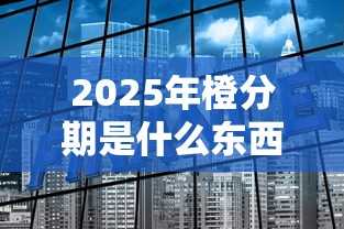 2025年橙分期是什么东西，看看这五个黑户可以在平台上借到钱