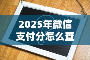 2025年微信支付分怎么查询记录，整合5个不看评估的正规的借贷平台