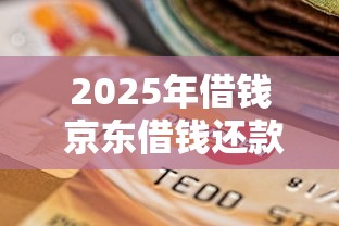 2025年借钱 京东借钱还款？整理五个无需征信的贷款平台