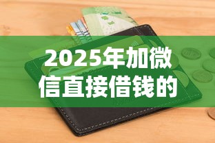 2025年加微信直接借钱的人：整理五个不看征信小额借钱的平台
