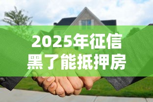 2025年征信黑了能抵押房子贷款吗：试试这5个执行人贷款稳下的口子
