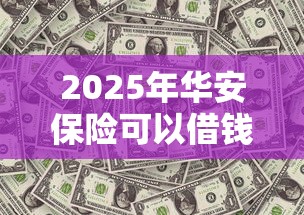 2025年华安保险可以借钱吗？公布五个借钱的平台100%能借到18周岁