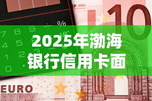 2025年渤海银行信用卡面签被拒，看看这五个好借钱的平台