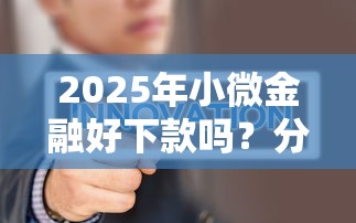 2025年小微金融好下款吗？分享5个大学生可以使用的口子