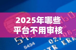2025年哪些平台不用审核就能借到钱的，推荐5个简单贷款平台