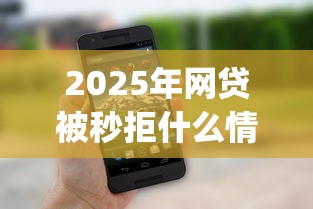 2025年网贷被秒拒什么情况？整理5个p2p网络贷款平台